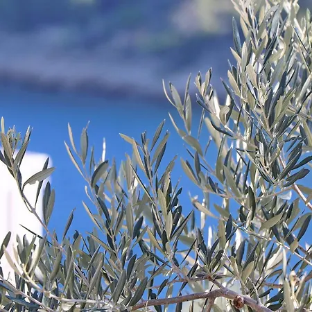 Dom wakacyjny Peaceful House Senija - Four Bedroom With Terrace &sea View *